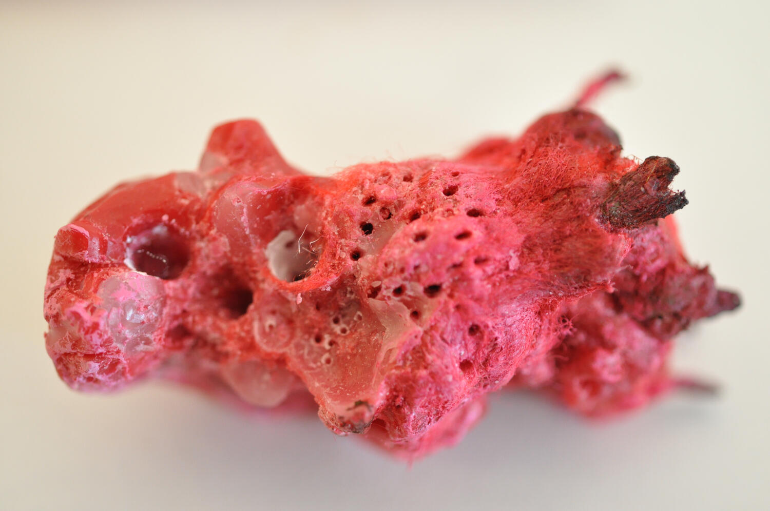 œufs-egg-Organic piece-wax-cire-contemporary art-art textile-fiber art-Maureen Lasne