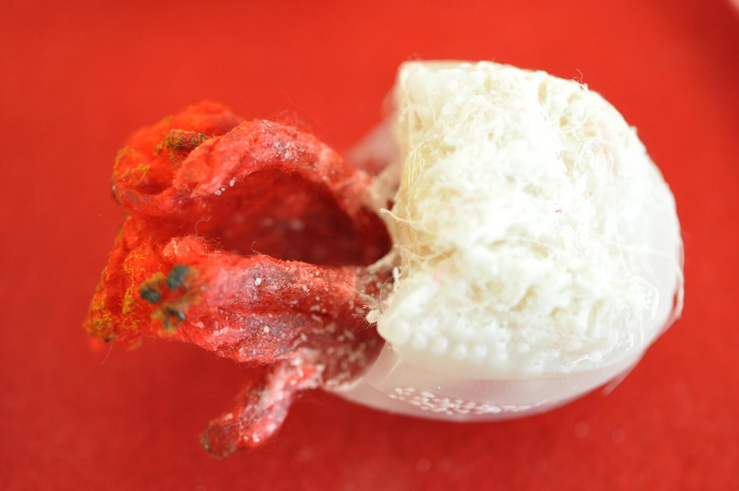 œufs-egg-Organic piece-wax-cire-contemporary art-art textile-fiber art-Maureen Lasne